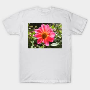 pink dahlia flower T-Shirt